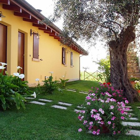 Agriturismo Tenuta Santa Maria Notaresco Buitenkant foto