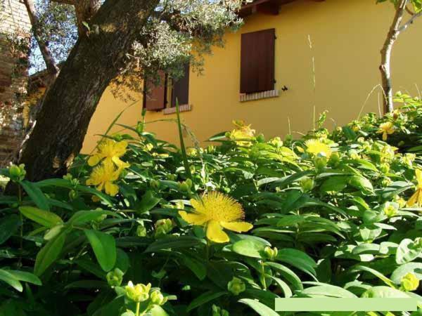 Agriturismo Tenuta Santa Maria Notaresco Buitenkant foto