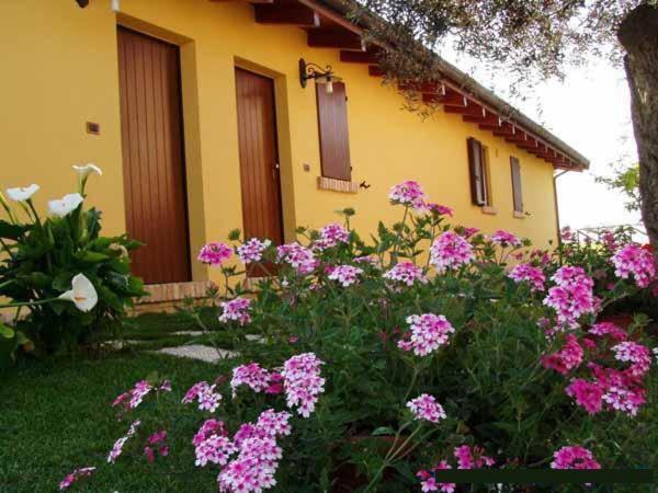 Agriturismo Tenuta Santa Maria Notaresco Buitenkant foto