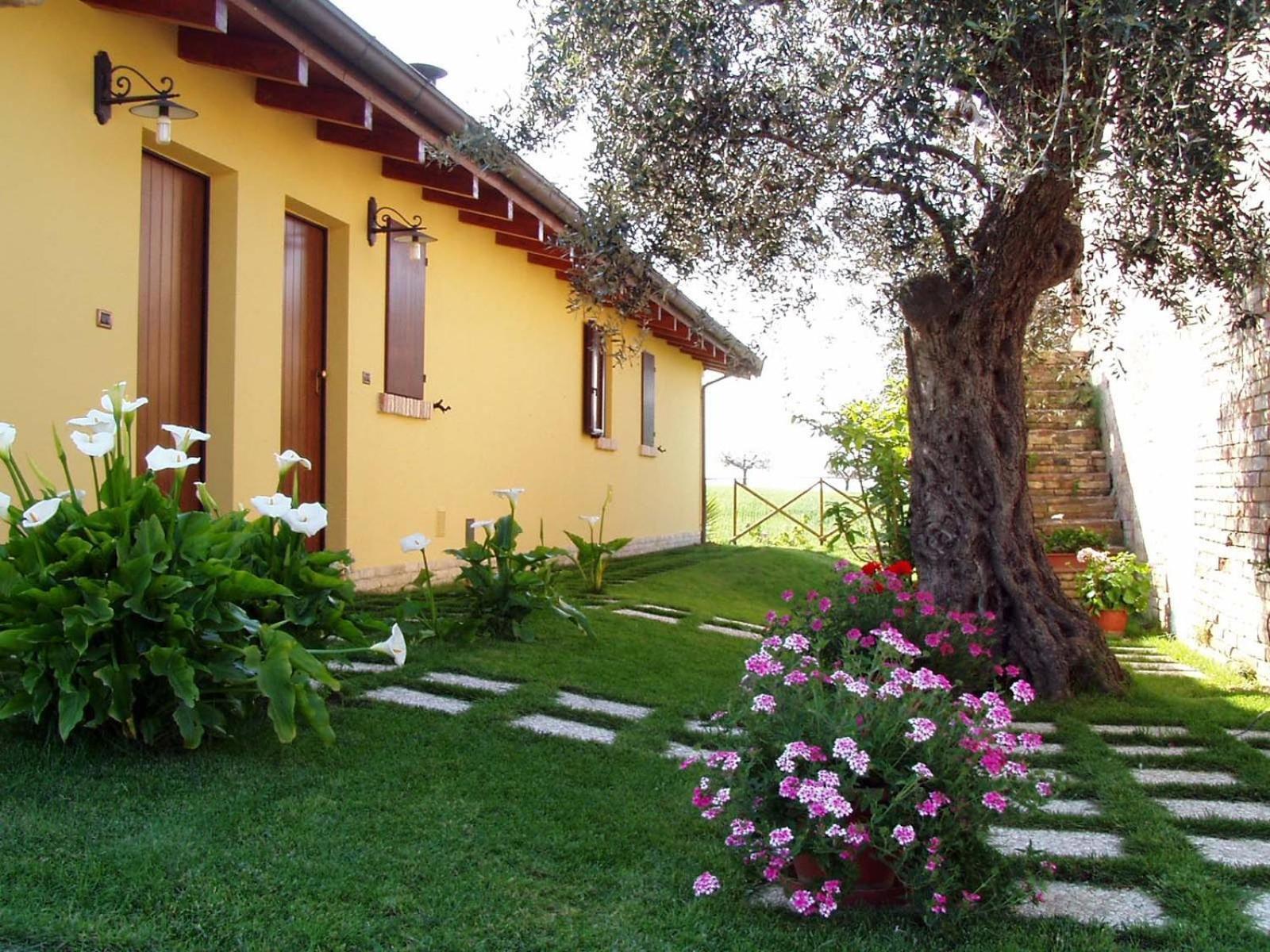 Agriturismo Tenuta Santa Maria Notaresco Buitenkant foto