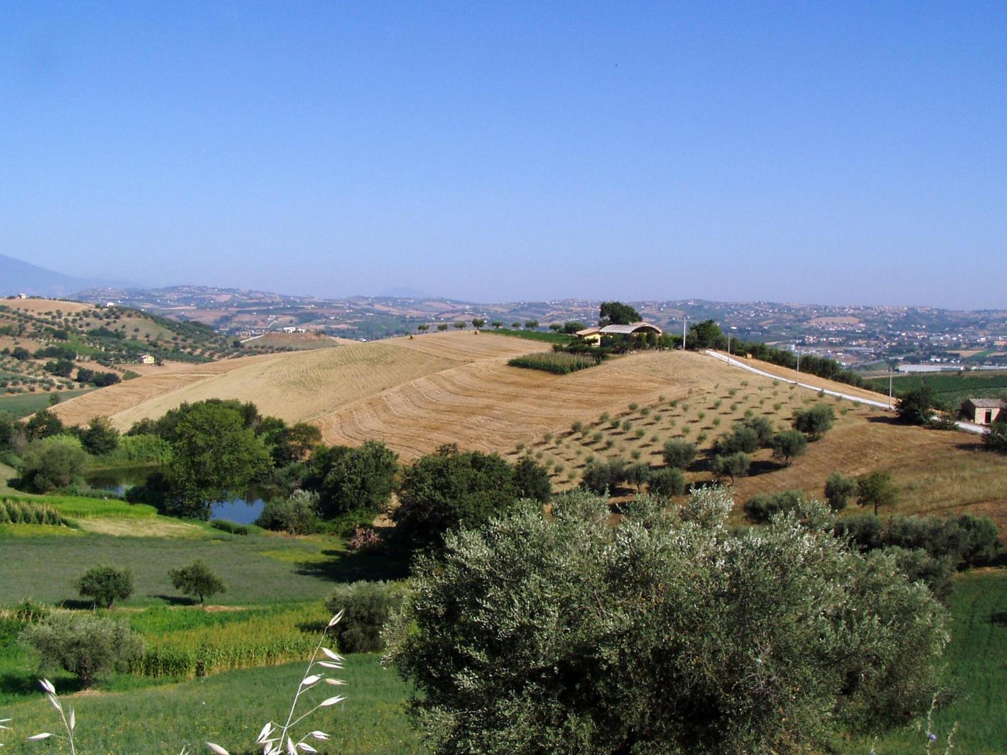 Agriturismo Tenuta Santa Maria Notaresco Buitenkant foto
