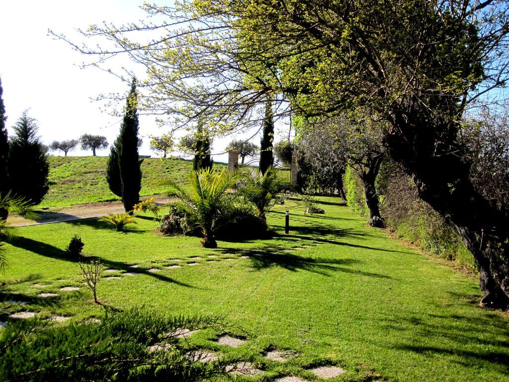 Agriturismo Tenuta Santa Maria Notaresco Buitenkant foto
