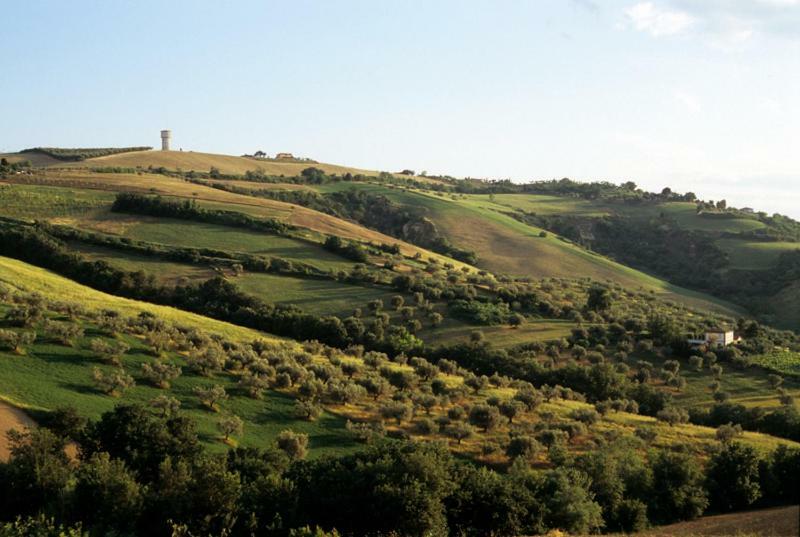 Agriturismo Tenuta Santa Maria Notaresco Buitenkant foto