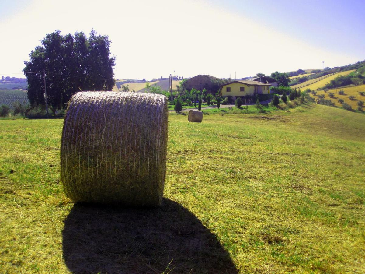 Agriturismo Tenuta Santa Maria Notaresco Buitenkant foto